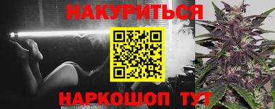шишки Новодвинск