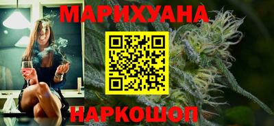 шишки Новодвинск