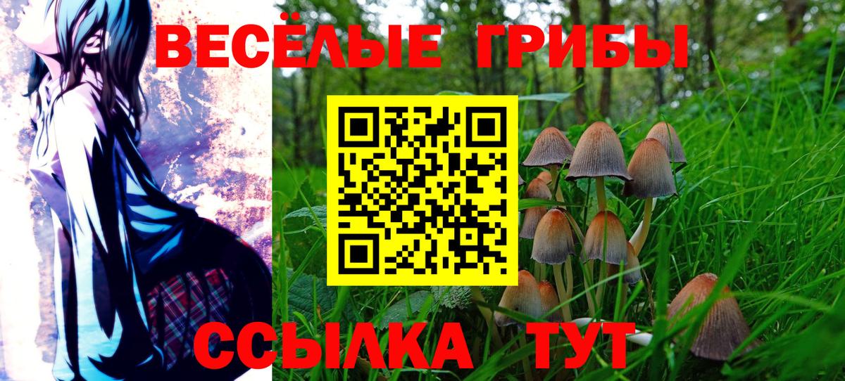 Галлюциногенные грибы прущие грибы  Псилоцибиновые грибы Psilocybine cubensis  Вход с VPN  Урюпинск 